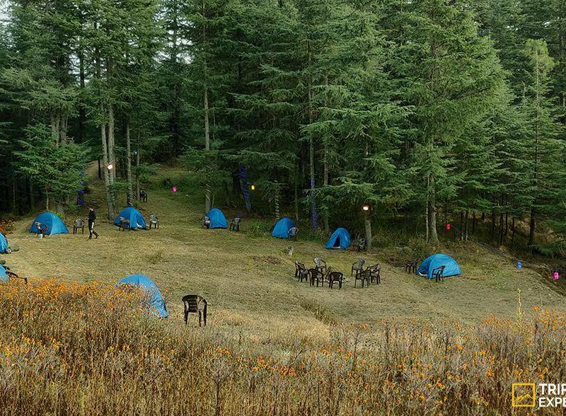 New Year Party In Shimla (Naldehra)